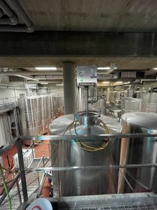 Can aroma-preserving and energy-saving fermentation really be achieved simultaneously? 